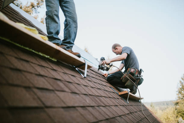 Best Shingle Roofing Installation  in North Vacherie, LA